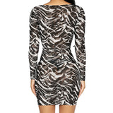 Zebra Print Lace Up Mini Dress